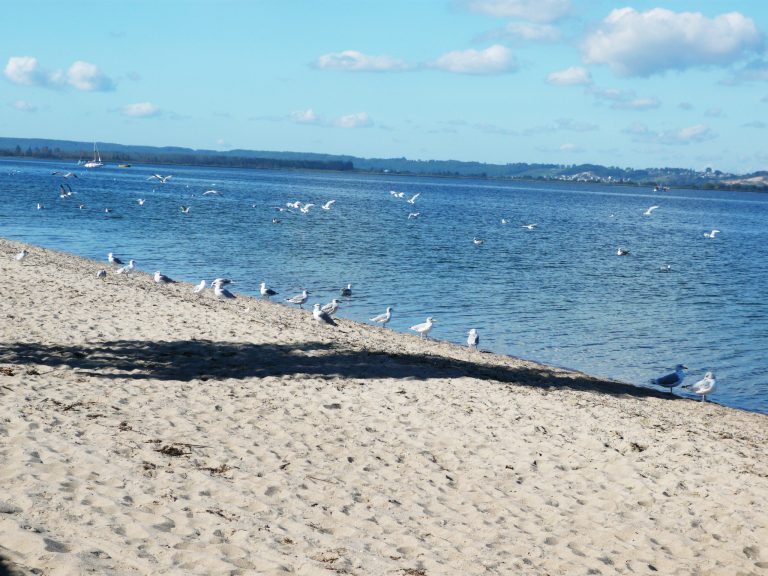 noclegi blisko plaży Rewa